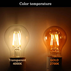 Image of Retro Edison LED filament bulbs for home and office lighting